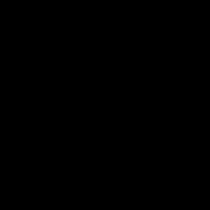 Meet your Posher, Amelia